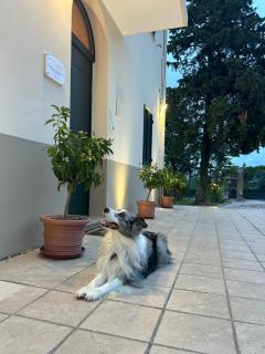 La Casa in Collina - Affittacamere - 6