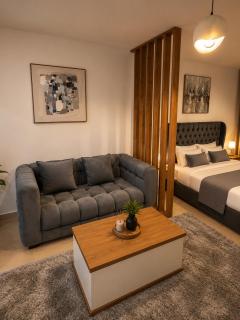 Modern apartment with access beach B343 - 8