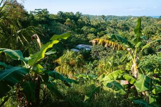 Finca Natural Mystic - 9