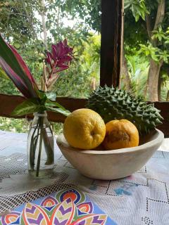 Finca Natural Mystic - 7