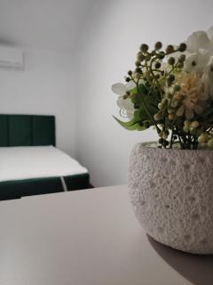 Tenevi house - 0