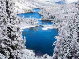 Sunshine Village #108- 1 +Loft , Sleeps 6. Steps from Free Town Shuttle ,Dog Friendly - 8