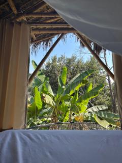 Kapiro Ecolodge Satipo - 0