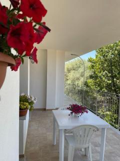 Casa Cannonau - 9