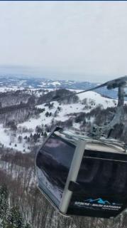 Apartman Kopaonik Brzeće - 4