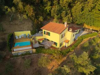 Villa tra gli ulivi - piscina e relax con vista sul mare - 4