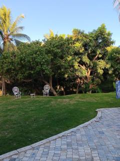 Luxurious 4-Bedroom Villa with Private Pool in Hatillo - 2