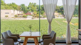 Gangneung Sacheon Bom House Pension - 9