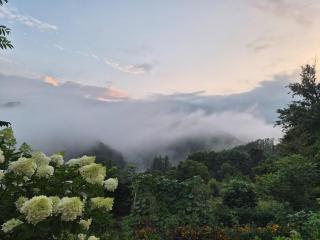 Hyusimjeong – Pavilion of Tranquil Mind - 3