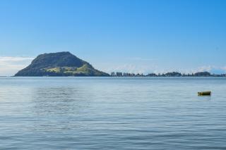 The Seaway Vista - Otumoetai - 8
