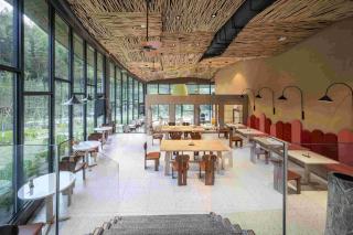 Villavila Healing Retreats - 2