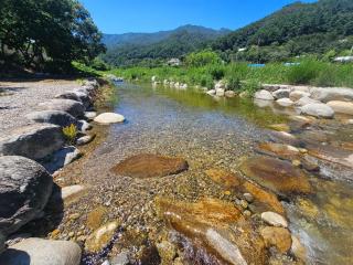 Gangneung Dream Pension - 1