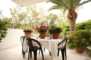 Veggie Garden Athens B&B - Atene - 3