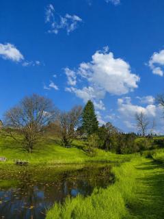 Underwood Country Manor - 4