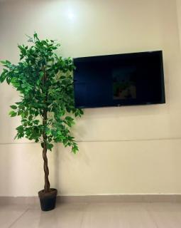 Modern apartment - 6