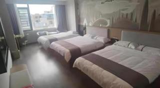 Thank Inn Hotel Guangxi Qinzhou Lingshan Renhe - 8