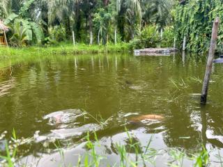 Ao Luek Hideaway - 8