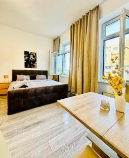 Cozy 3BR Apt for up to 9P, 10 Min to FAC Platz - 5