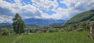 Villa ZON - 2