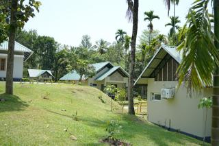 Cloudwood Resort, Wayanad - 4