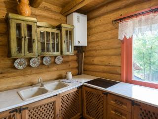 Traditional wooden cottage - 1