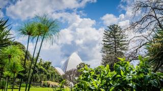 KozyGuru | Mascot | 2Bed 2Bath-Free Double-Parking - 2