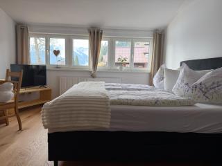 Holiday apartment in Bregenzerwald - 9