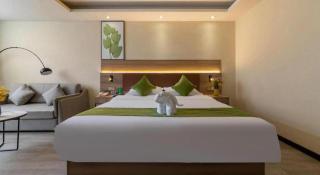 GreenTree Inn Hainan Haikou Jinniu Road Business Hotel - Haikou - 6
