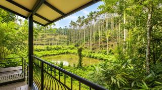 Amritara Dominic's Nature Retreat & Spa Wayanad - 4