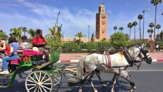 riad NAMLA - 3