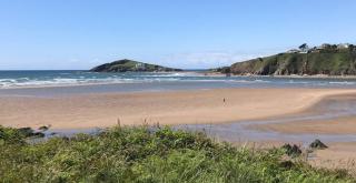 Abbotscot near Bantham, S Devon - 7