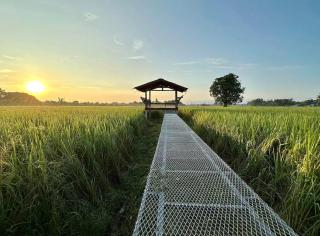 Phanumas Longstay & Resort - 5