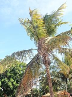FR Resort - 4