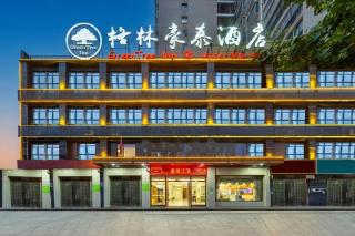 GreenTree Inn Huangshi Huahu Development Zone Daquan Road - 8