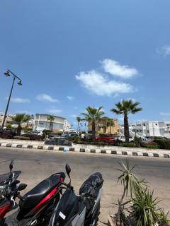 فيلا الجوهره المعموره الشاطي - 3