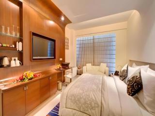 The Hotel Hindusthan International - 8