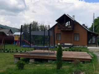 Вілла Карпатська бульбона - 2