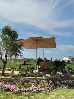 Camping BORA - 1