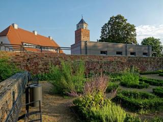 Modern Suite in the Taunus - 6