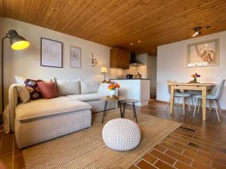 Charming and comfortable 1 bedroom apartment in Gryon - 5