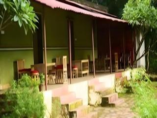 Bastar Jungle Resort - 1