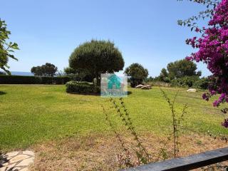 Oasis Beach A&A - 7