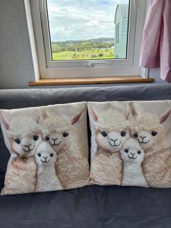 The Lazy Llama Farm Stay Shepherd Hut - 9