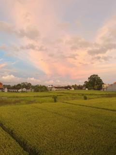 Veda Guest House - 9