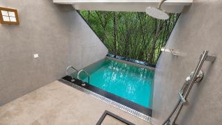 Wayanad Silverwoods Forest Resort & Spa - 4
