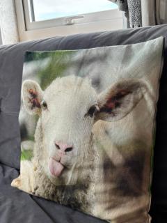 The Snuggly Sheep Farm Stay Shepherd Hut - 4