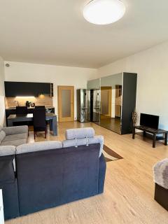 Victoria Apartment - Prague - 2