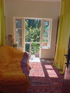 House in the forest - 5