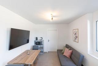 Bluemlisalp Studio - Aare Jungfrau AG - 2
