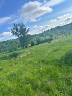 Solhem, relaxing in the countryside in nature - 1